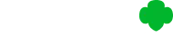 Girls Scounts